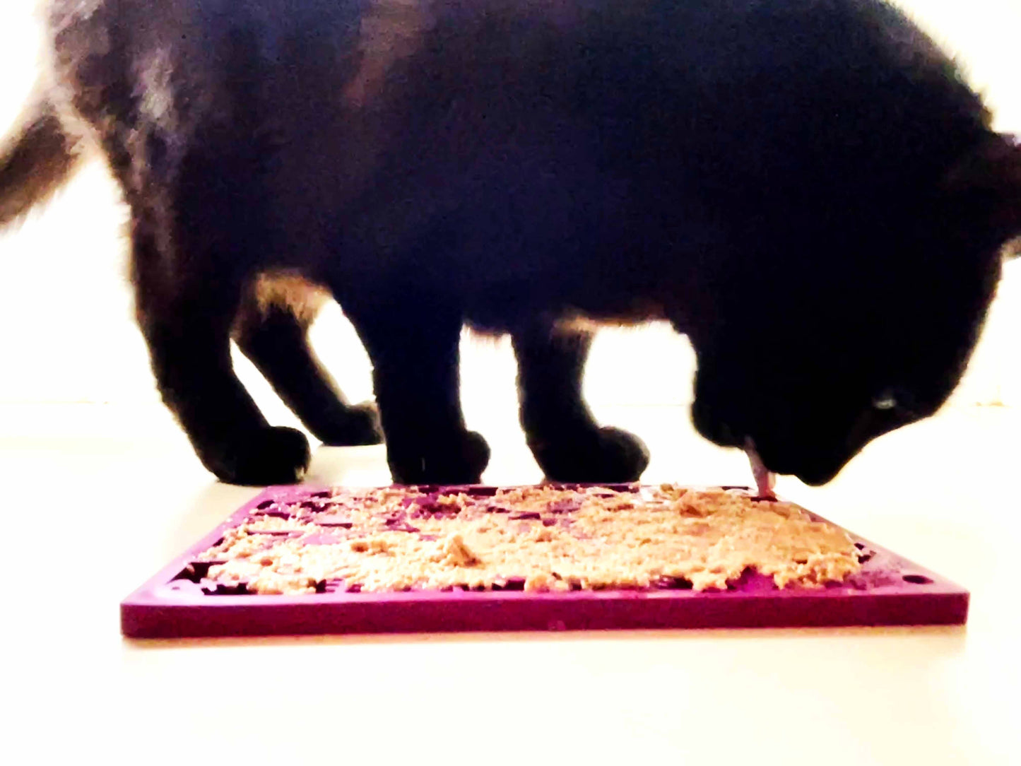 Fishy Design eMat Enrichment Lick Mat - small: Fishy emat - plum