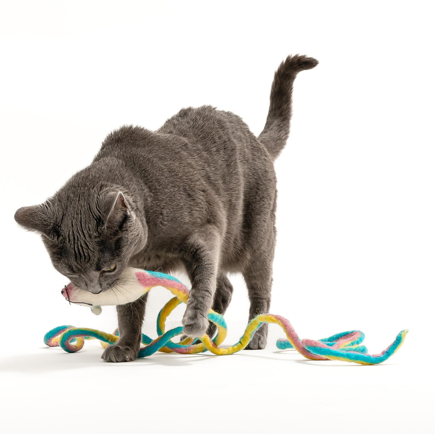 Wool Mouse Cat Toy 6-Foot-Tail - all-red, rainbow, unicorn: Unicorn swirl