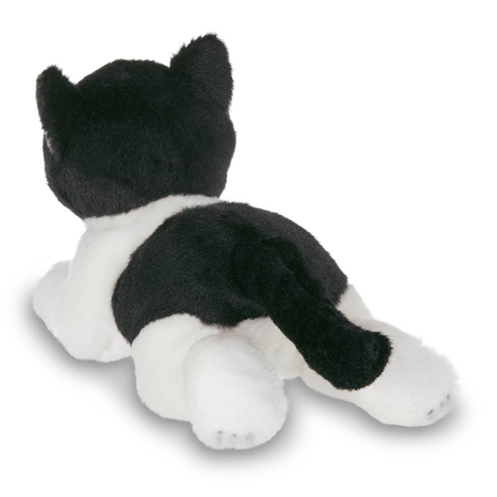 Lil' Domino the Black & White Cat
