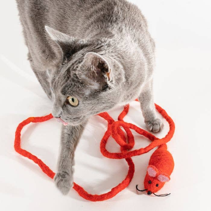 Wool Mouse Cat Toy 6-Foot-Tail - all-red, rainbow, unicorn: Unicorn swirl