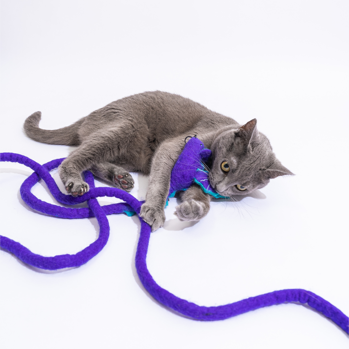 Wool Mouse Cat Toy 6-Foot-Tail - red rainbow unicorn dragon: Purple dragon