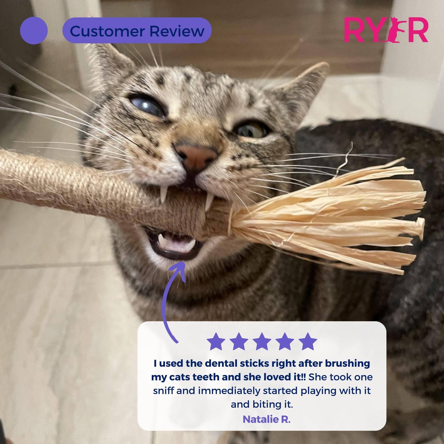 Silver Vine Cat Dental Sticks - Natural Dental Care (5 Pack)