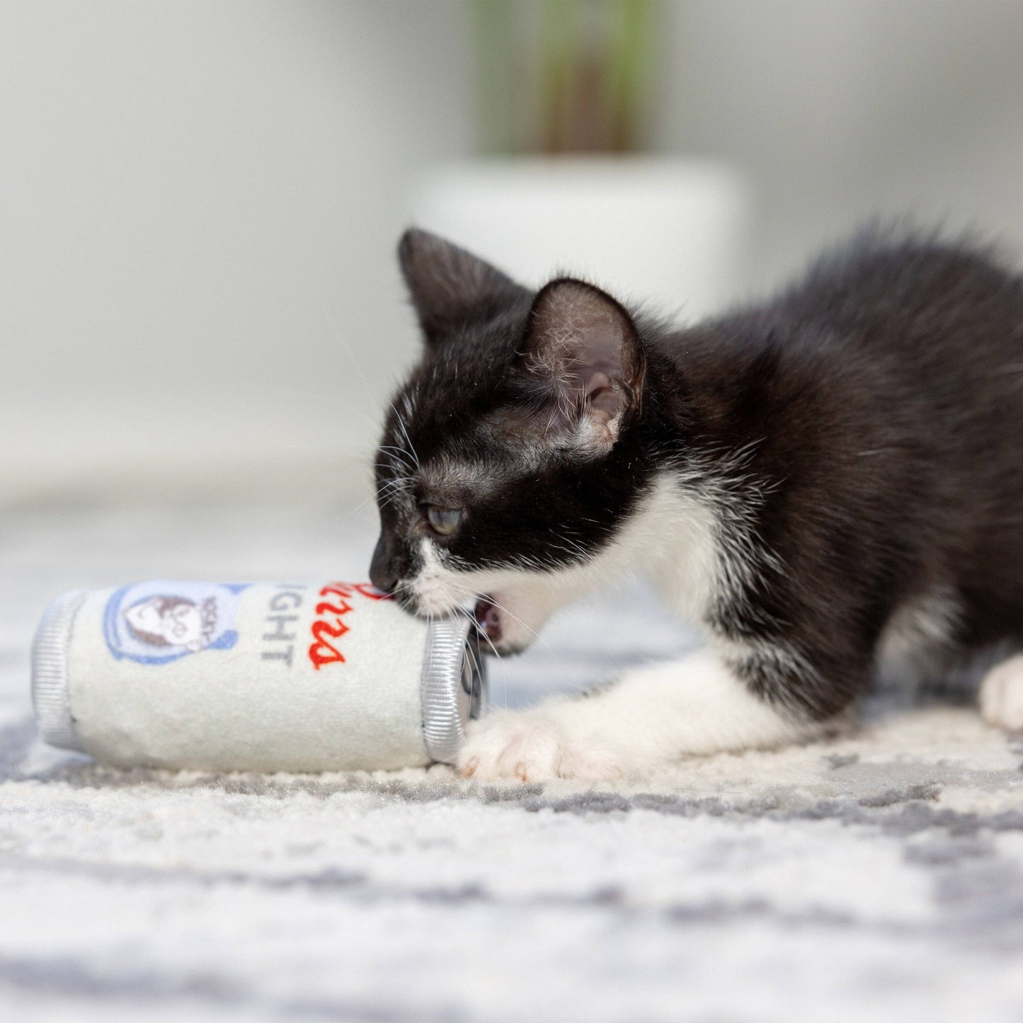 Purrs Light For Cats