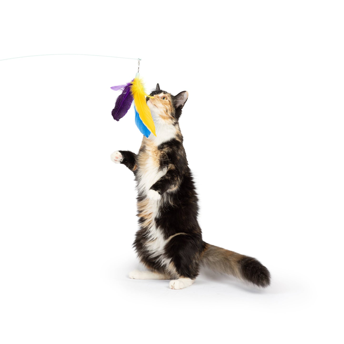 Purple Fishy Feather Teasers 2pk Refill Cat Toy: One Size