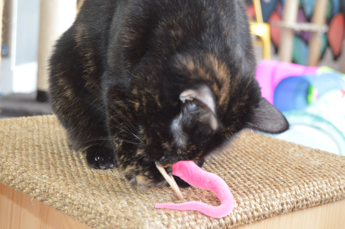 A-Lure-Ring - Ring with tail - Wand Attachment Toy