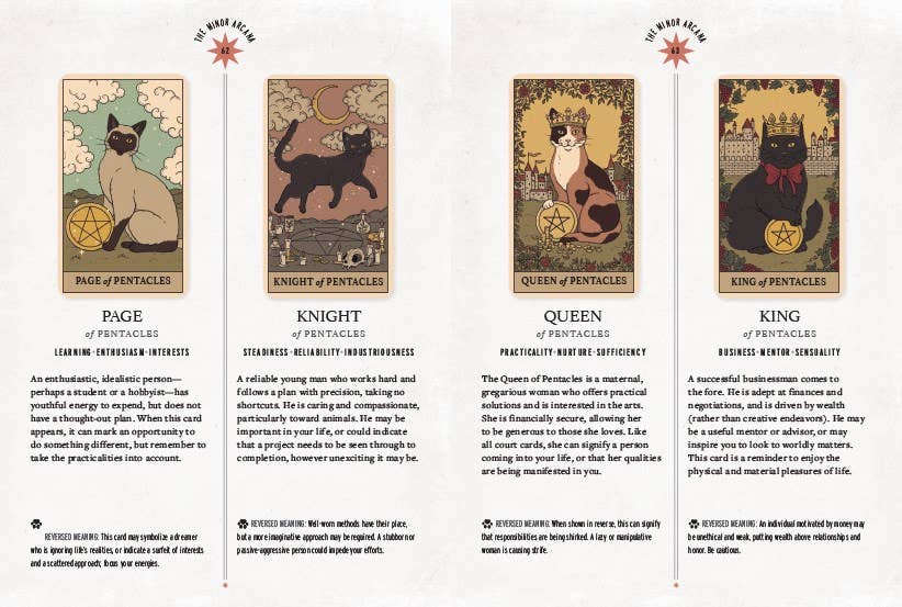 “Cats Rule the Earth” Tarot Deck and Guidebook