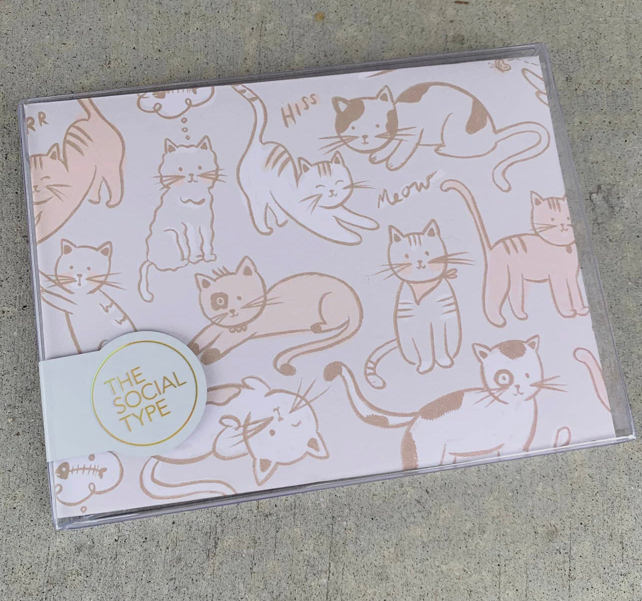 Cat Patterned Envelope Note Set