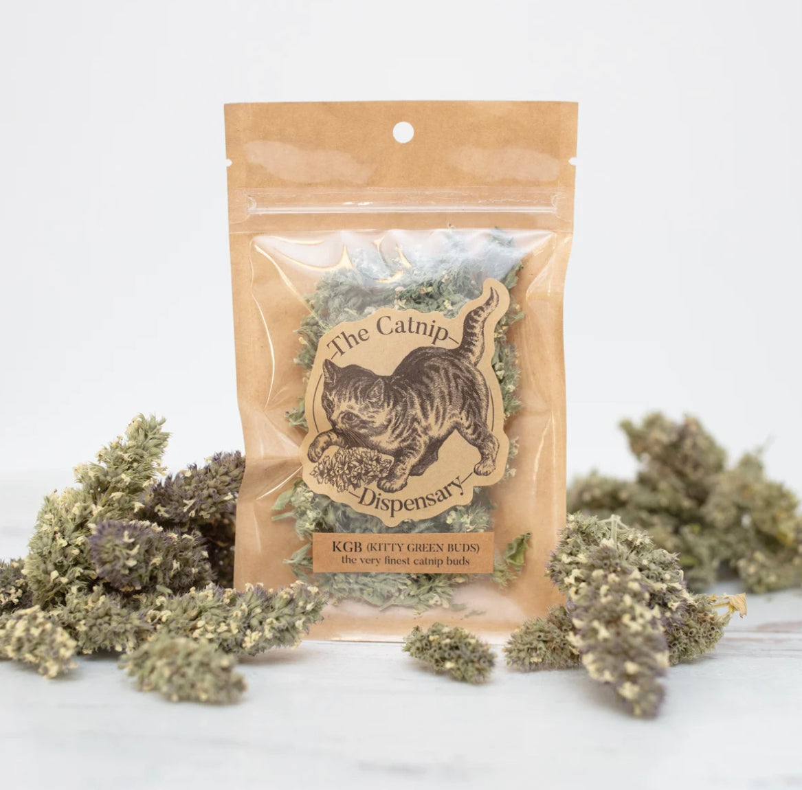 Kitty Green Buds