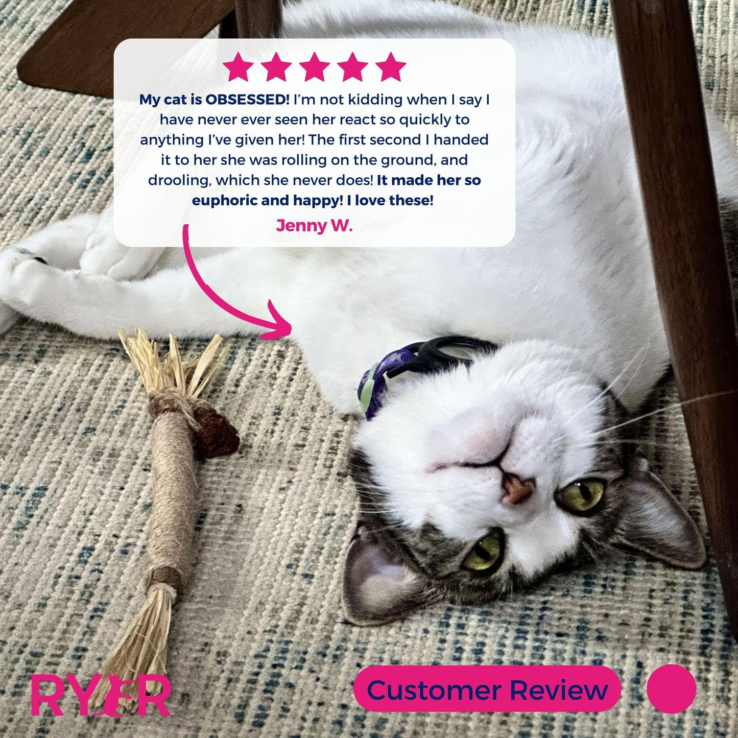 Silver Vine Cat Dental Sticks - Natural Dental Care (5 Pack)