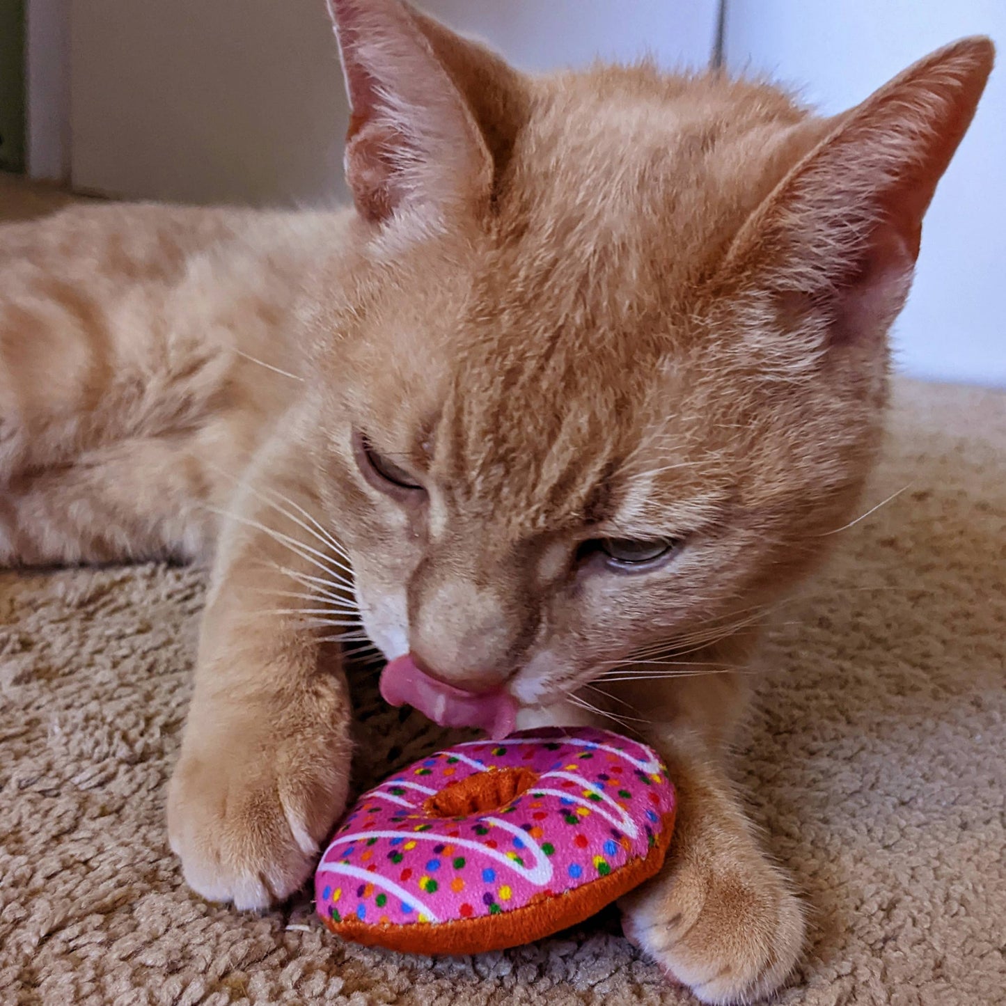 Strawberry Donut for Cats