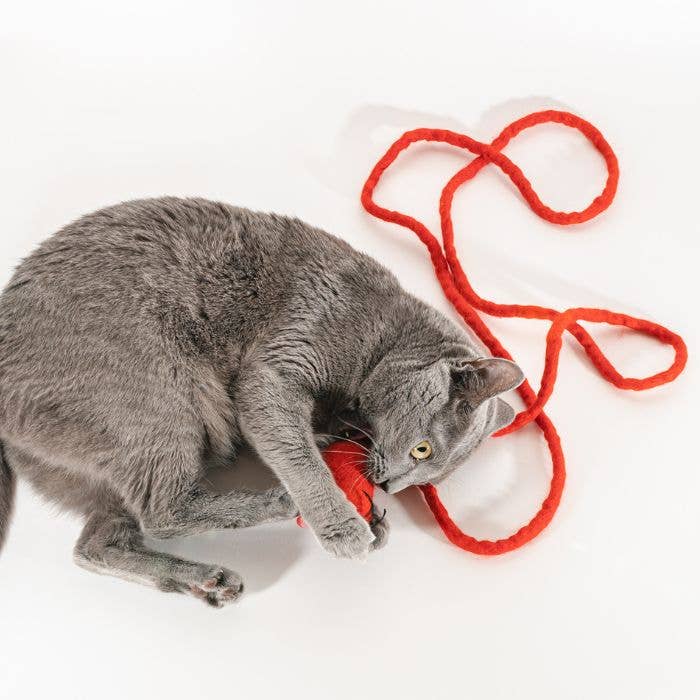 Wool Mouse Cat Toy 6-Foot-Tail - all-red, rainbow, unicorn: Unicorn swirl