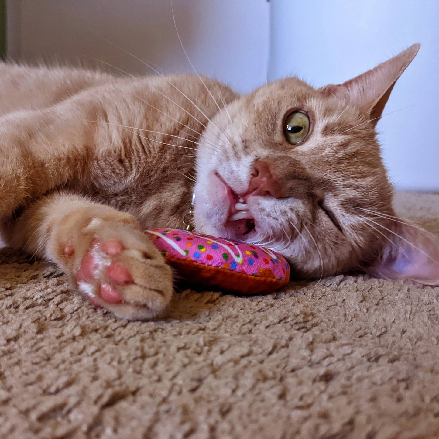 Strawberry Donut for Cats