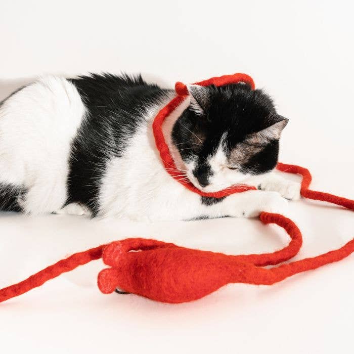 Wool Mouse Cat Toy 6-Foot-Tail - all-red, rainbow, unicorn: Unicorn swirl