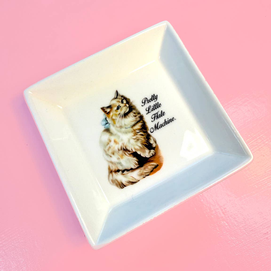 "PRETTY LITTLE HATE MACHINE" CAT TRINKET TRAY