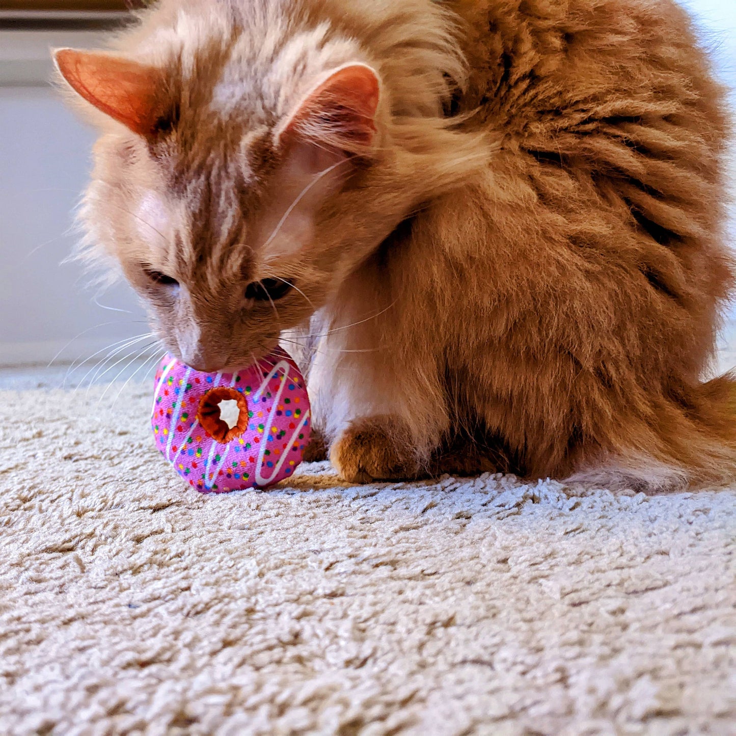Strawberry Donut for Cats