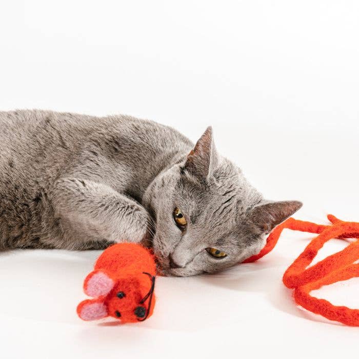 Wool Mouse Cat Toy 6-Foot-Tail - all-red, rainbow, unicorn: Unicorn swirl
