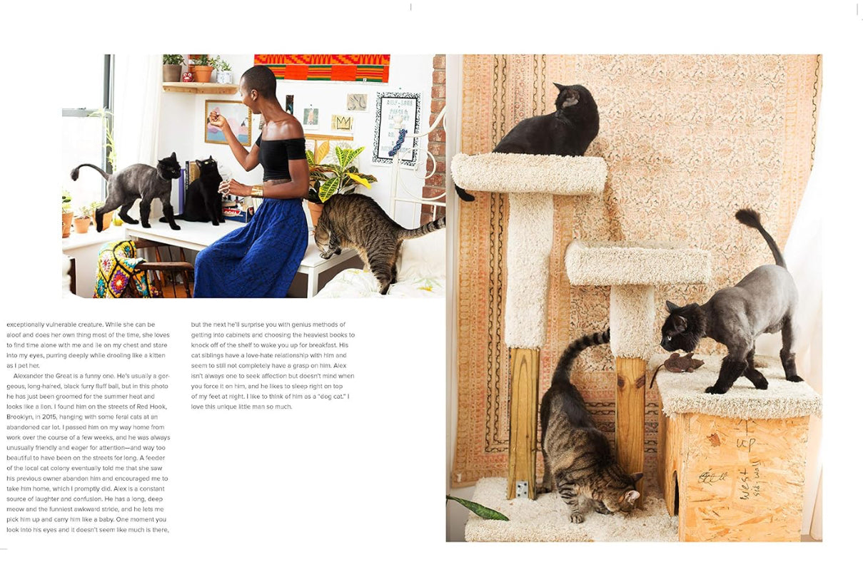 Girls and Their Cats
