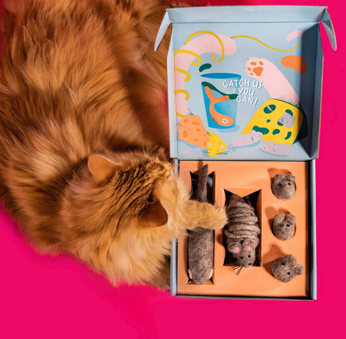 The Run Wild Cat Toy Box | Mimi's Daughters