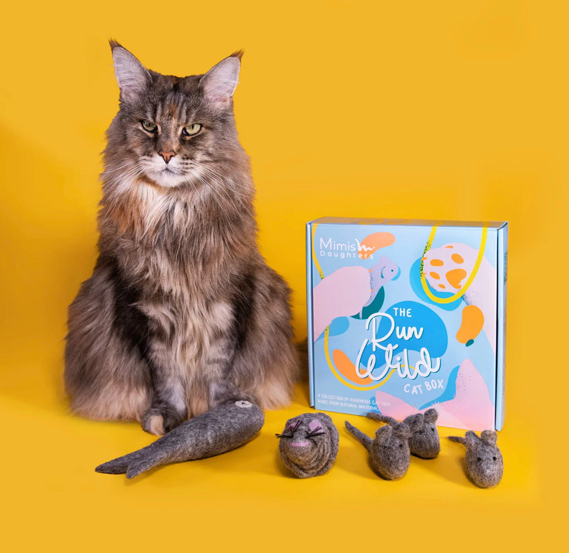 The Run Wild Cat Toy Box | Mimi's Daughters