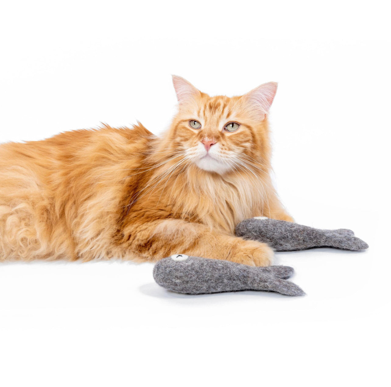 Felix the Fish 20cm - Felt Cat Toy | Mimi's Daughters