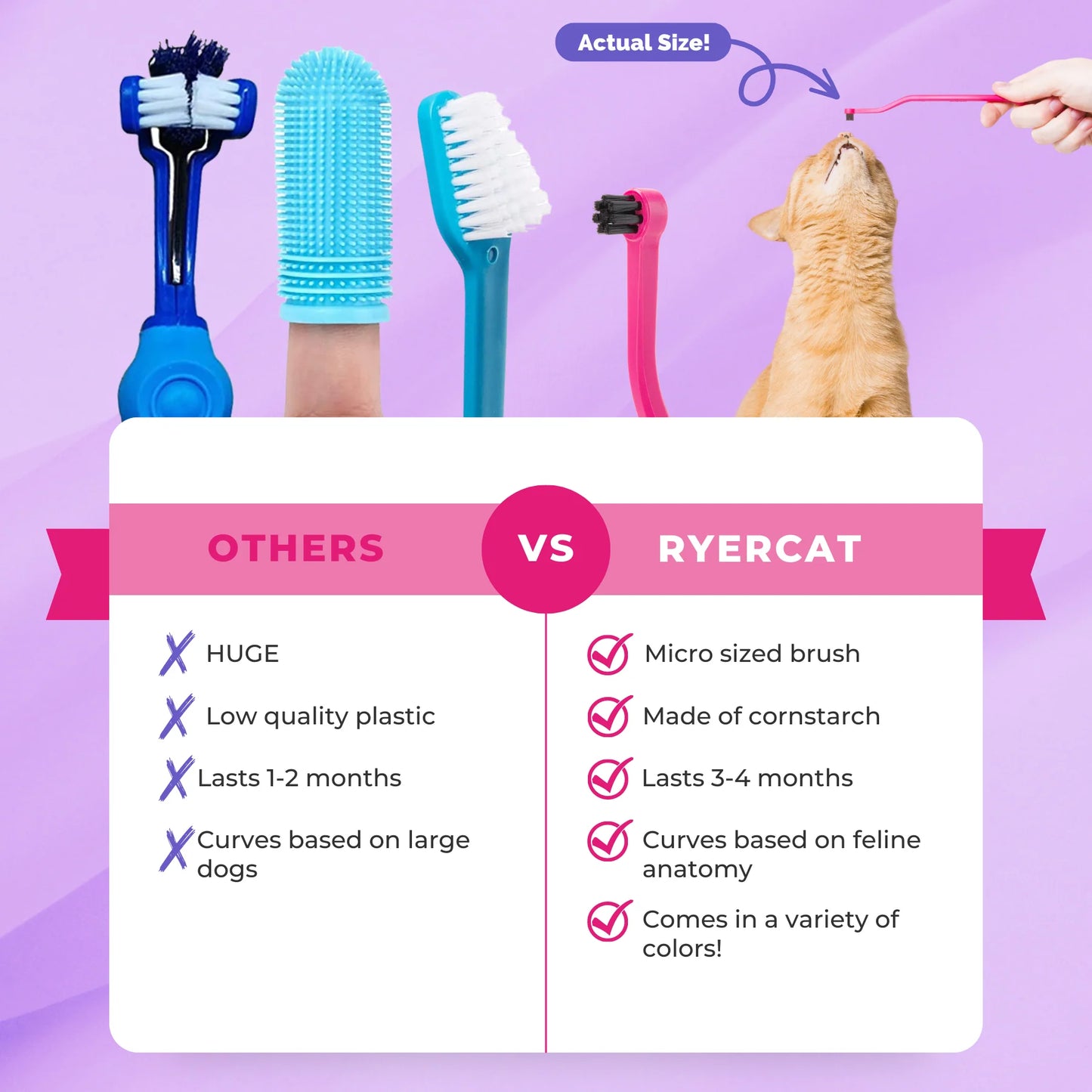 Dual Sided Cat Toothbrush - RYERCAT
