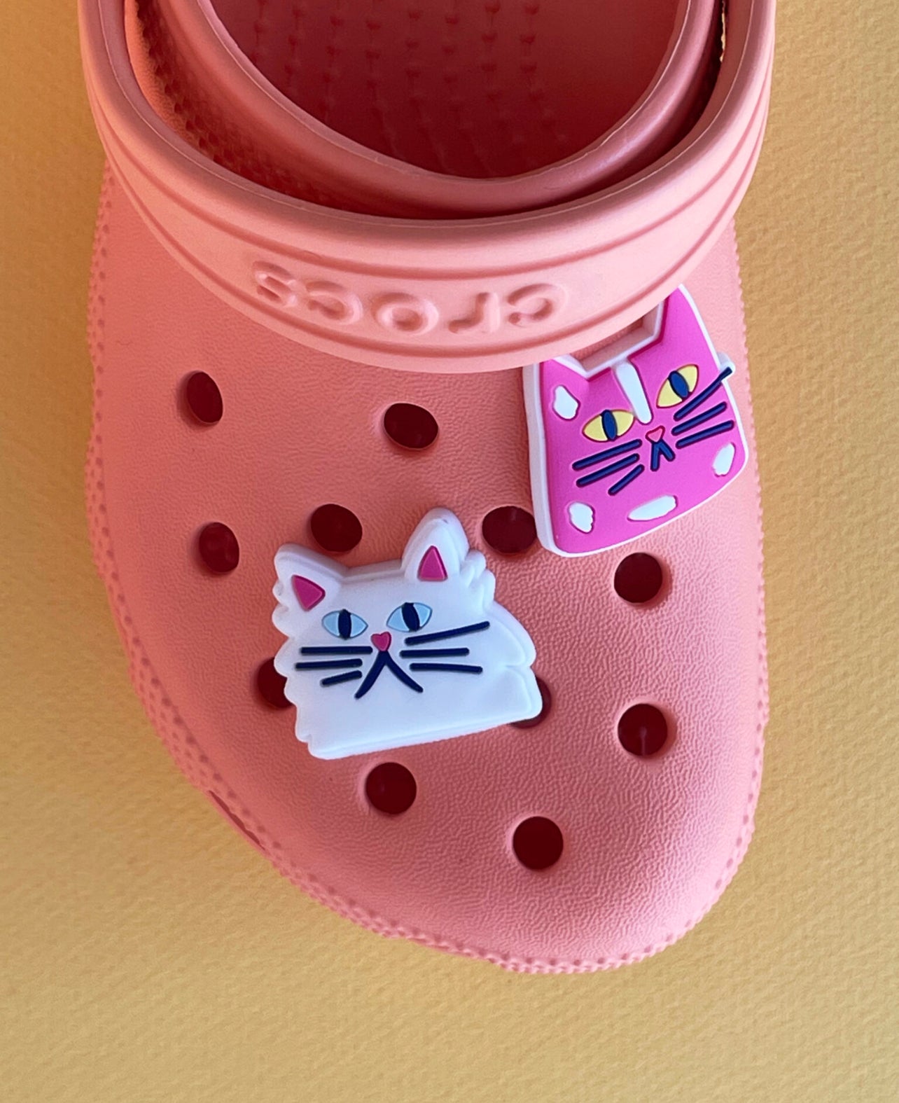 Cats Clog Charms | Idlewild Co.