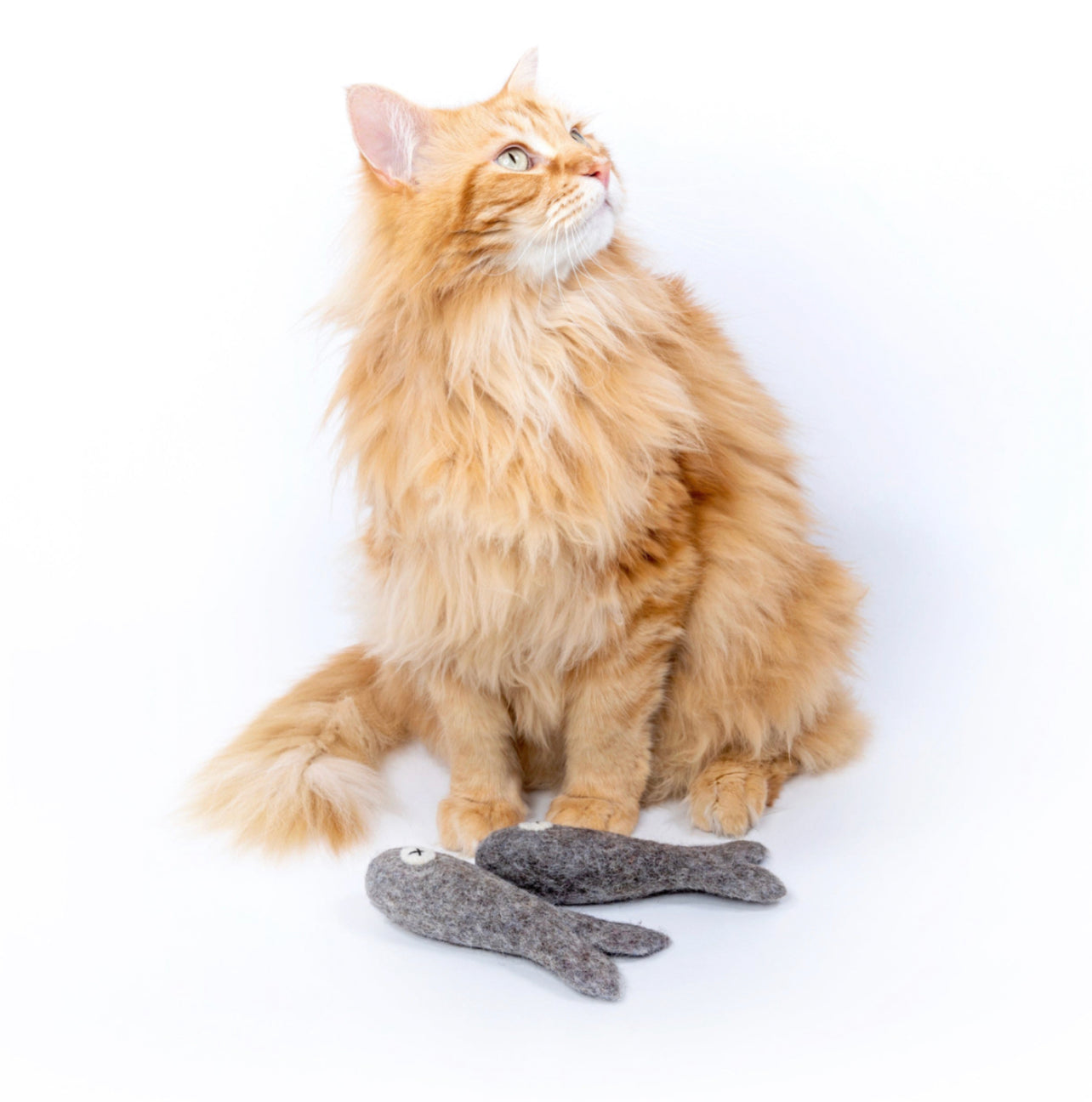 Felix the Fish 15cm - Felt Cat Toy