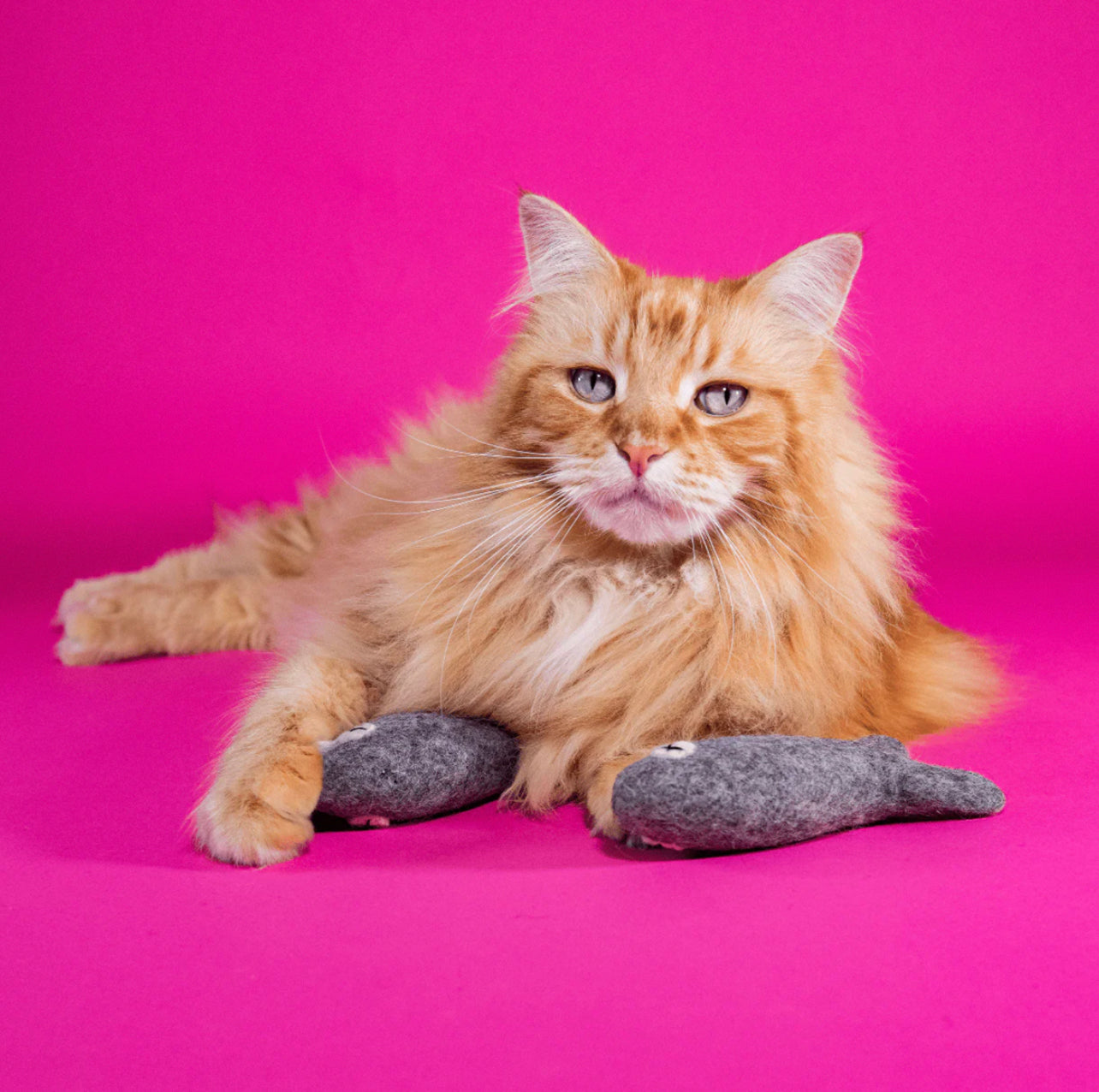 Felix the Fish 15cm - Felt Cat Toy