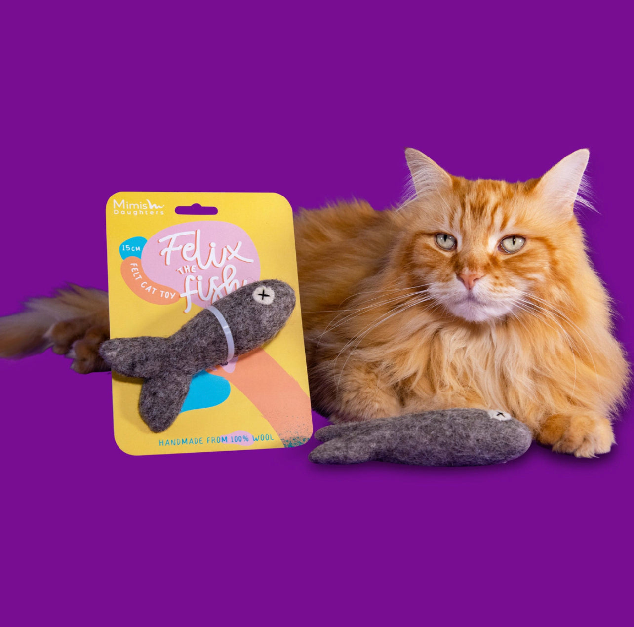 Felix the Fish 15cm - Felt Cat Toy