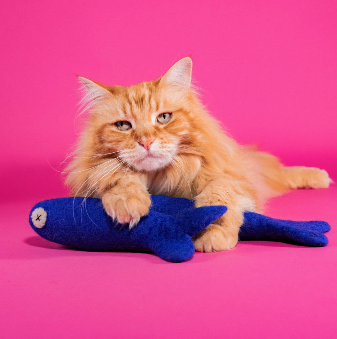 Freddy The Big Fish - Felt Cat Toy