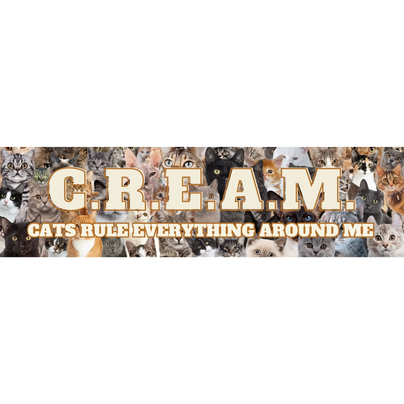 C.R.E.A.M. Cats Rule Everything Around Me Bumper Sticker