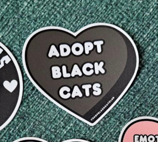 Adopt Black Cats Sticker