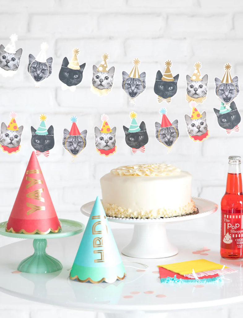 Party Cat Banner | My Mind's Eye