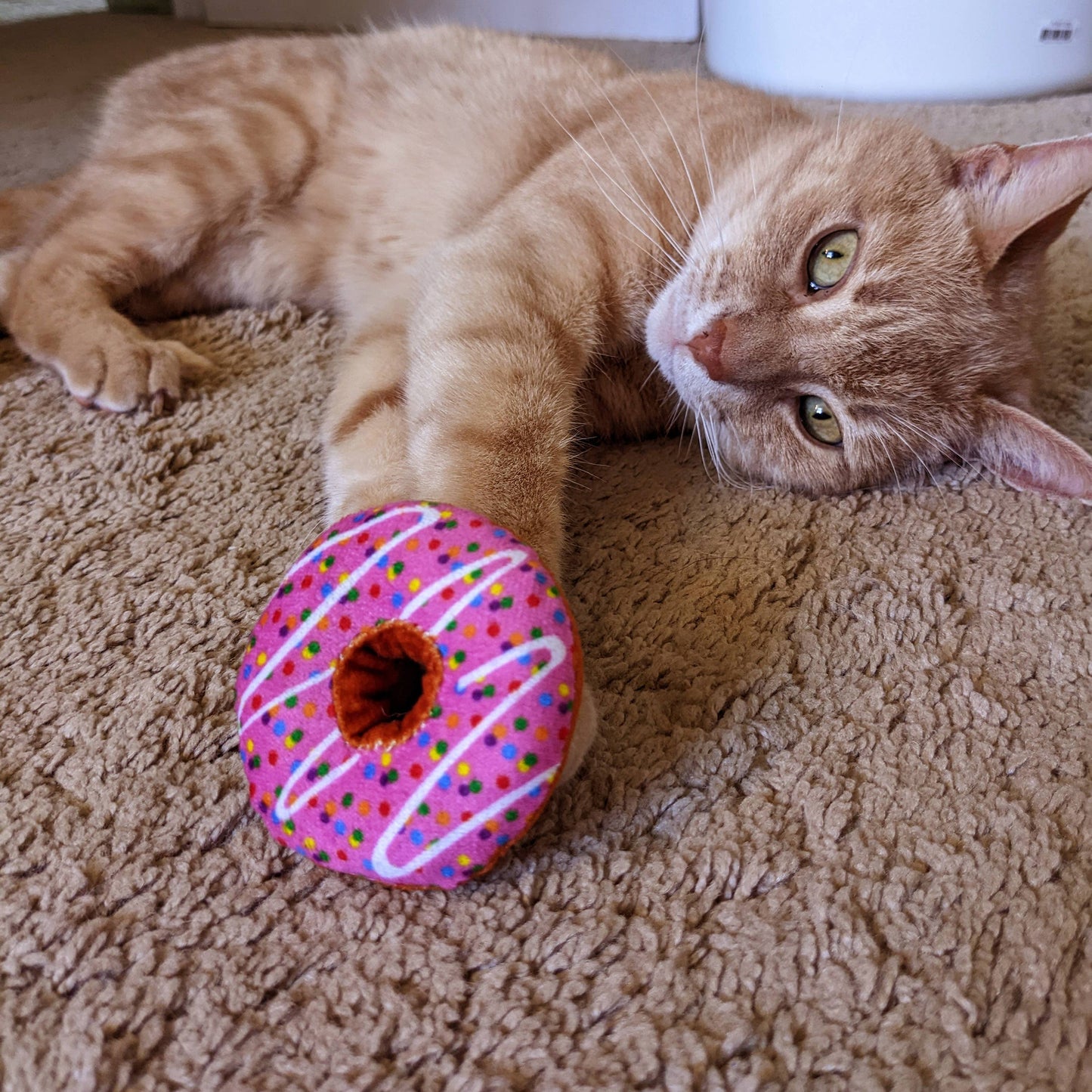 Strawberry Donut for Cats