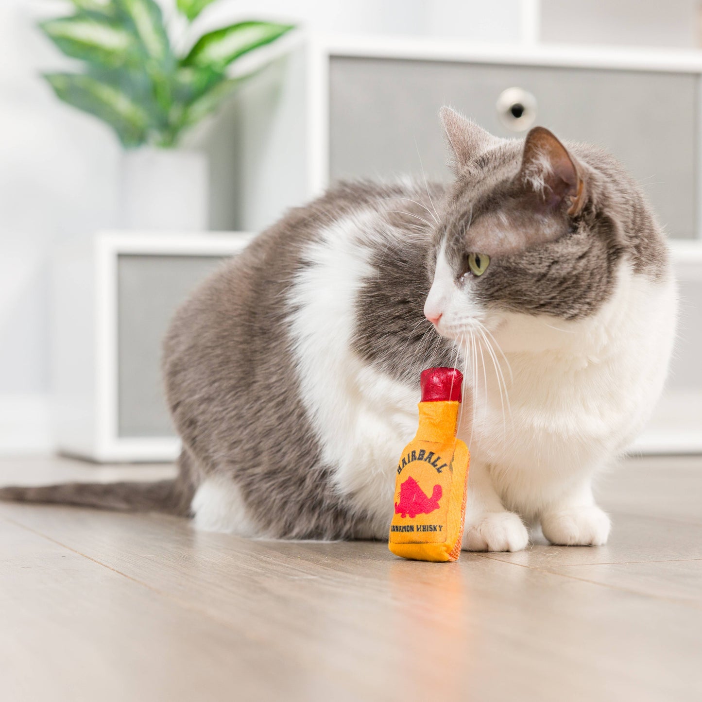 Hairball Cinnamon Whiskey For Cats