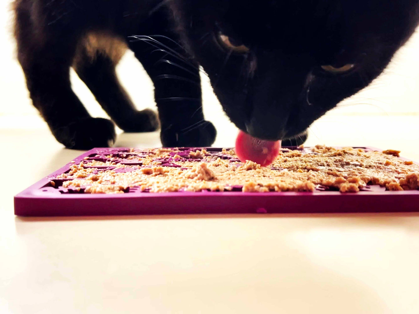 Fishy Design eMat Enrichment Lick Mat - small: Fishy emat - plum