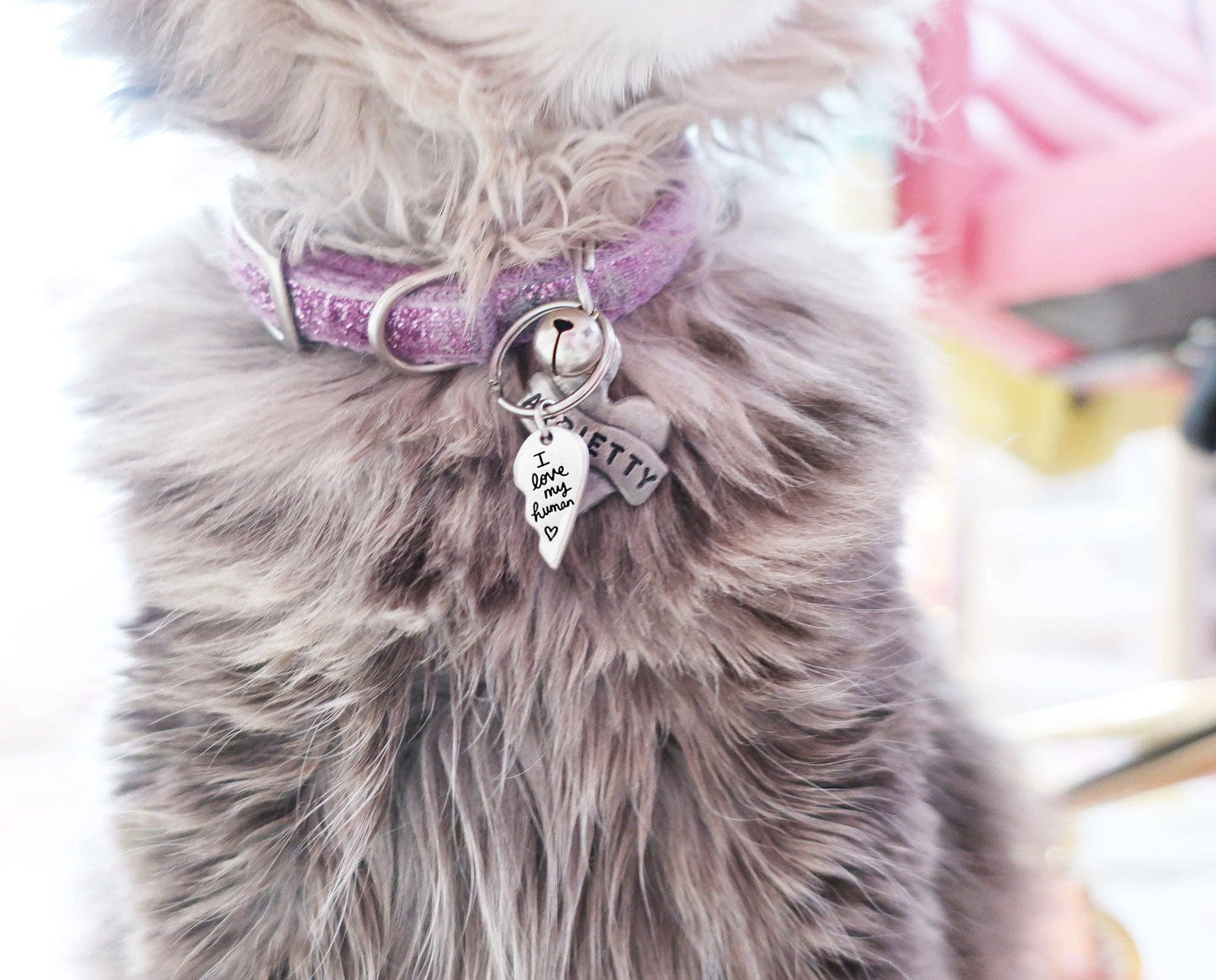BFF pendant and necklace set for you and your cat