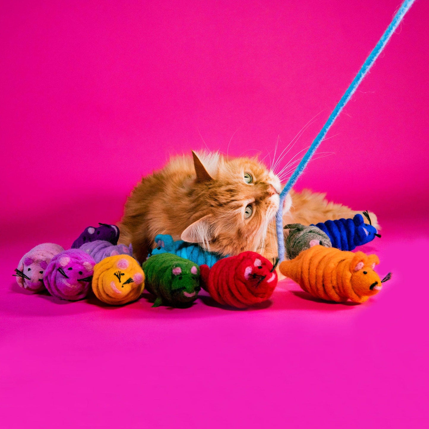 Monte the Mouse - 2M Long Tailed Felt Cat Toy