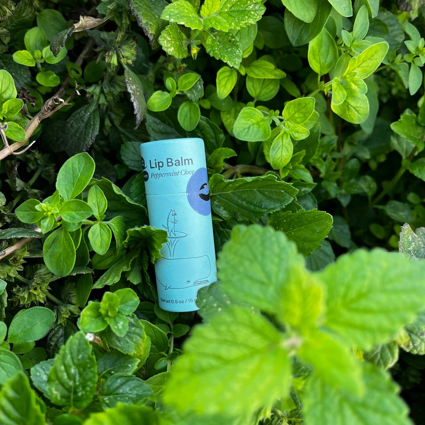 Peppermint Clove Vegan Lip Balm