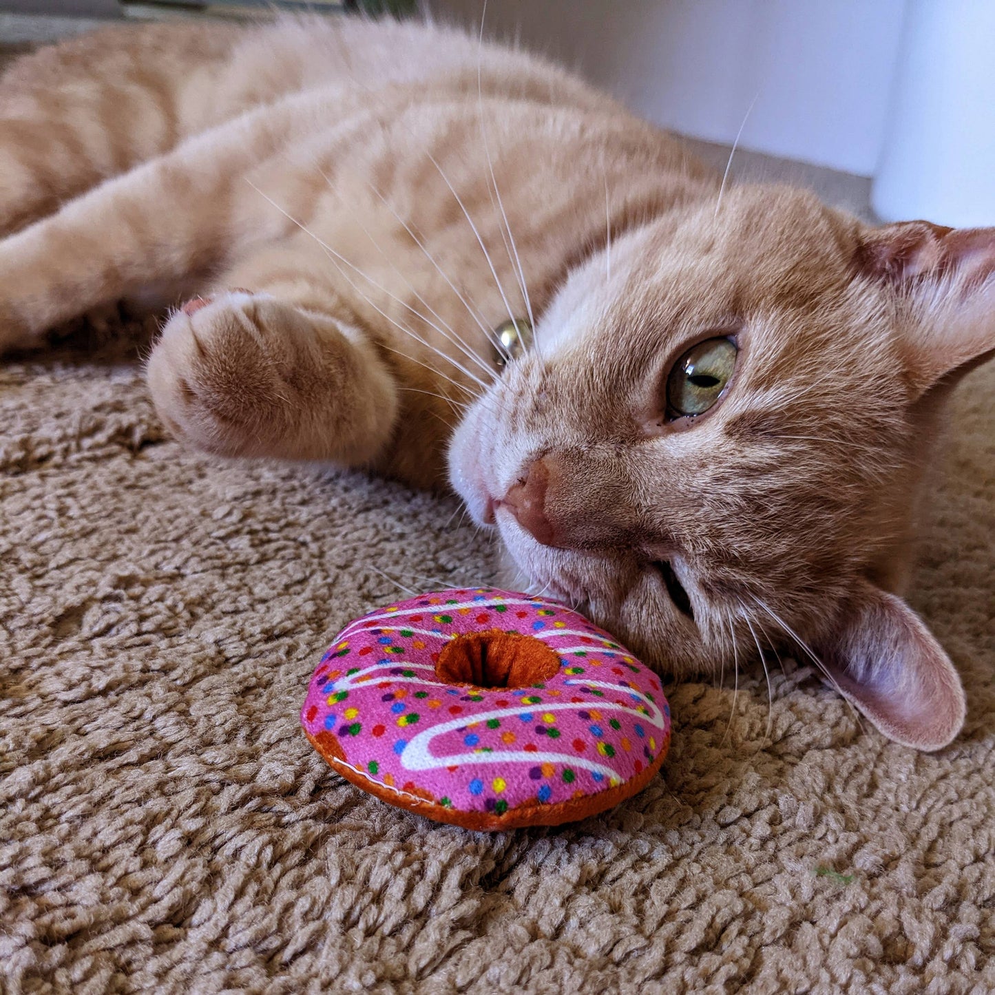 Strawberry Donut for Cats