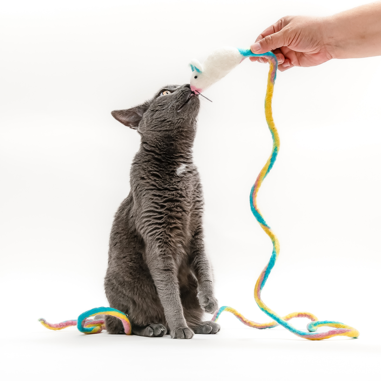 Wool Mouse Cat Toy 6-Foot-Tail - all-red, rainbow, unicorn: Unicorn swirl