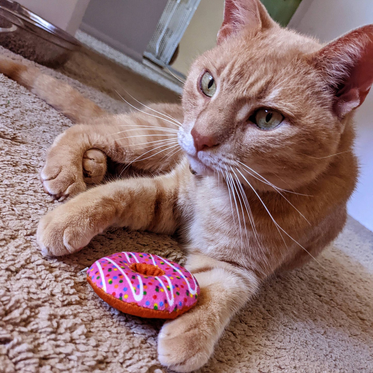 Strawberry Donut for Cats