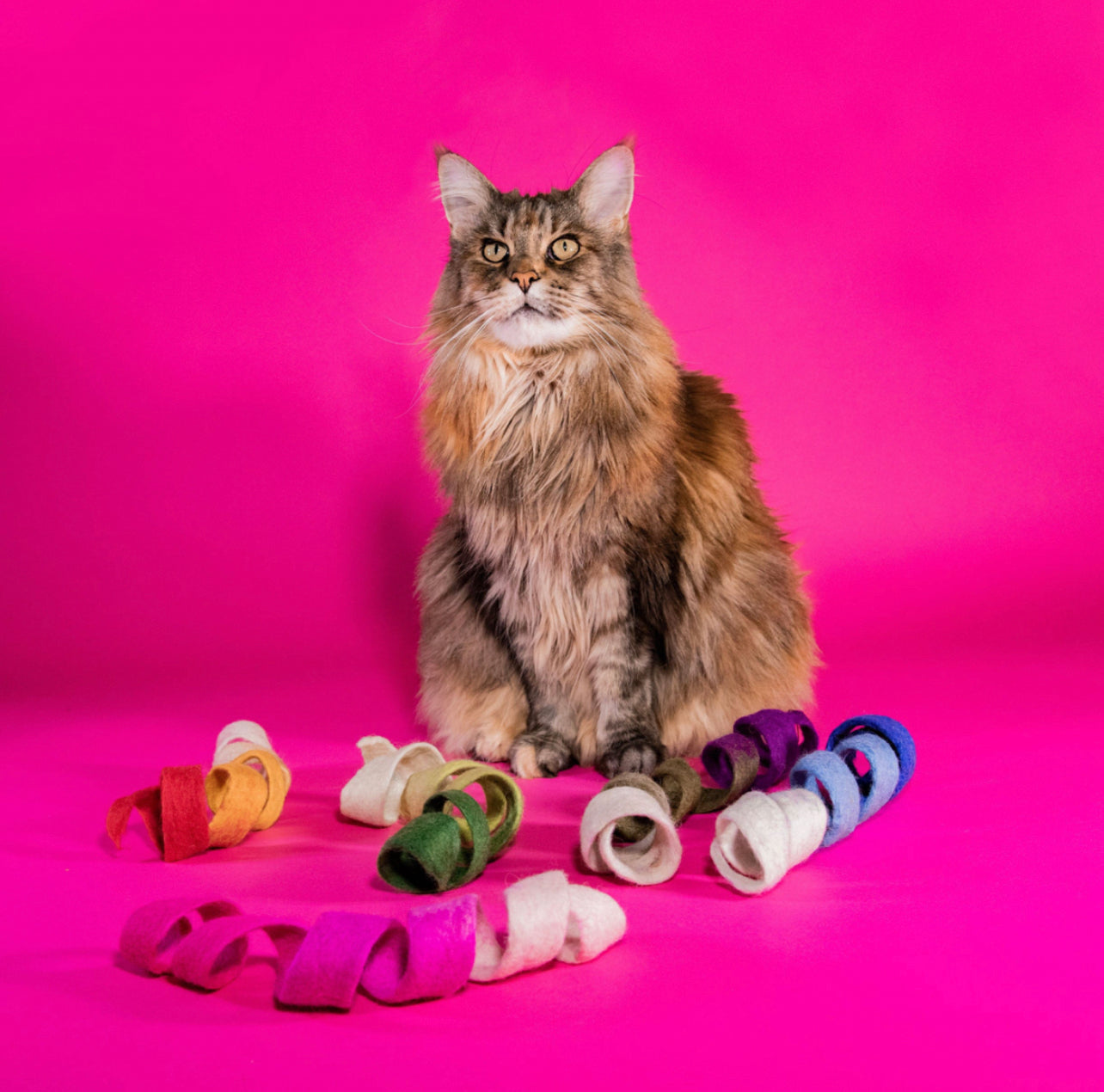 Spinny Spiral - Felt Cat Toy