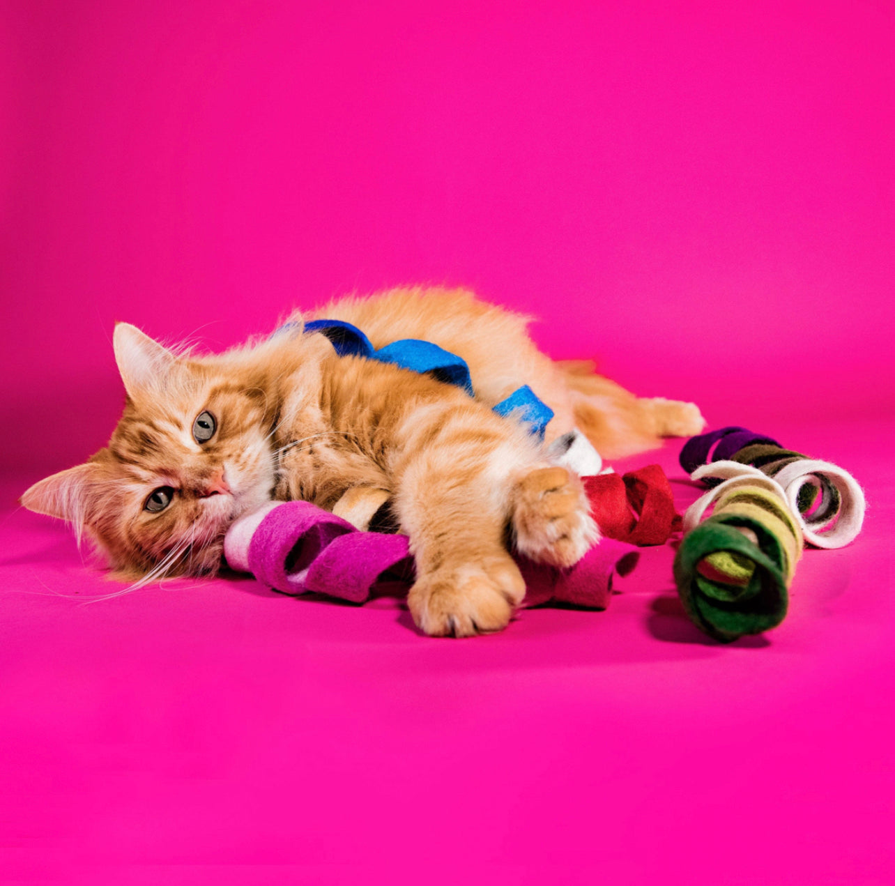 Spinny Spiral - Felt Cat Toy