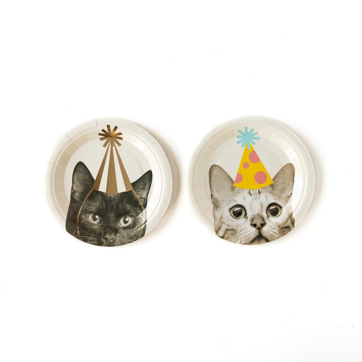 Party Cat 7" Plates | My Mind's Eye