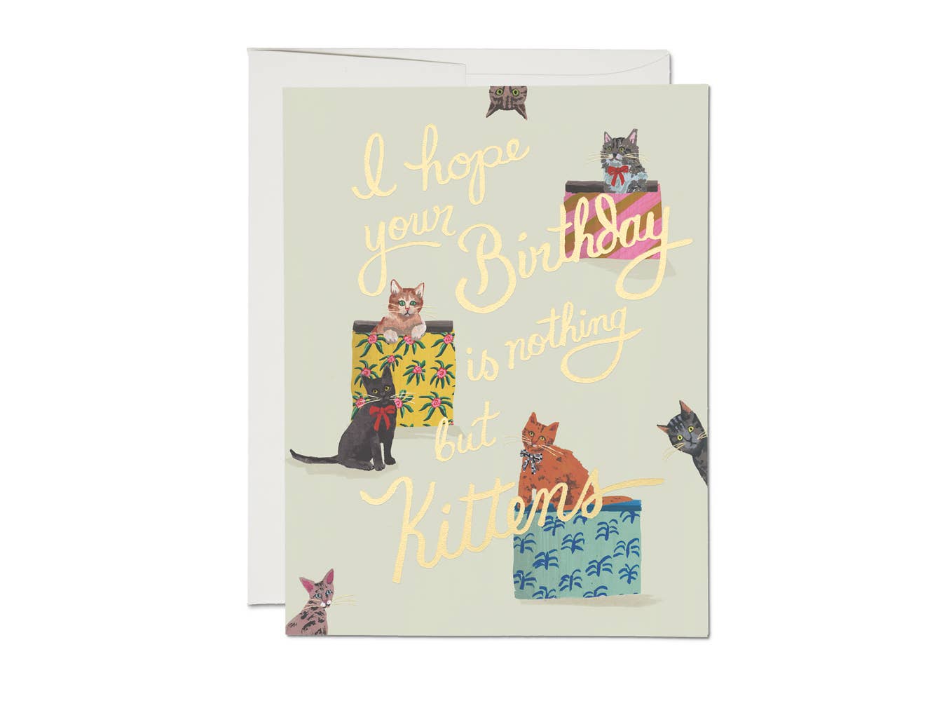 Nothing But Kittens Card BLANK INSIDE