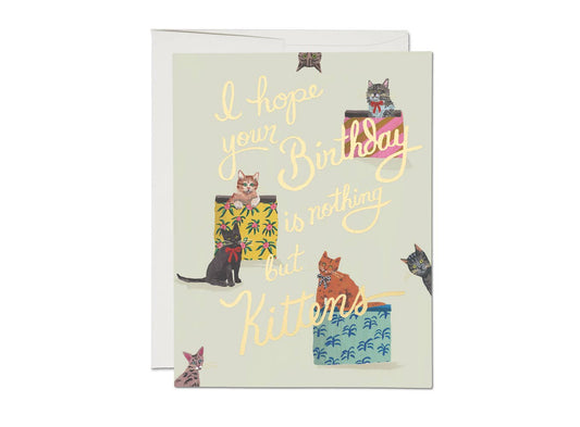 Nothing But Kittens Birthday Greeting Card | Red Cap Cards