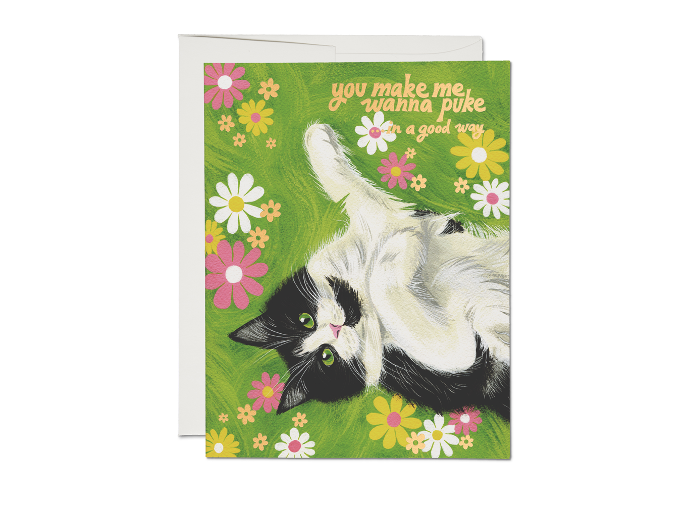 Nice Kitty Love Card BLANK INSIDE
