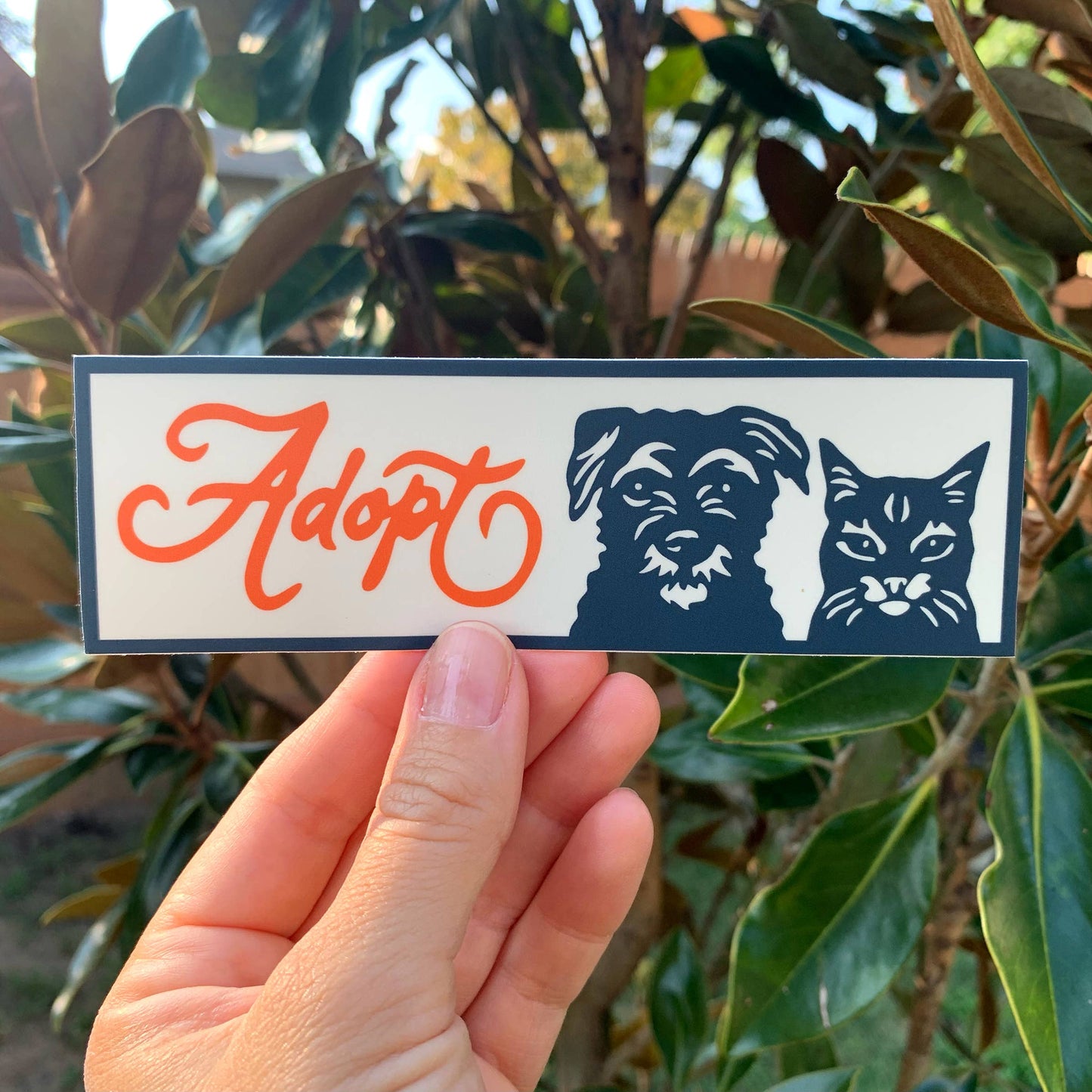 Animal Adoption High Quality Vinyl Decal / Bumper Sticker | Fresh Fish