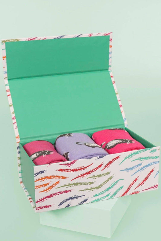 Blue Pink Green Womens Cat Gift Box | Sock Talk